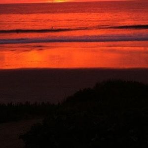 Meet your Posher, Wendell